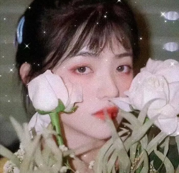 欢迎来到丛林 海报